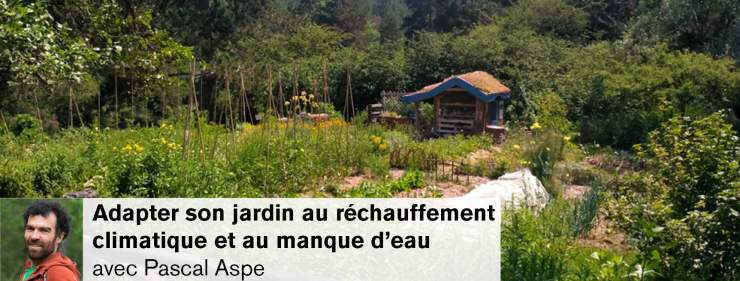 Potager familial en plein été et portrait de Pascal Aspe