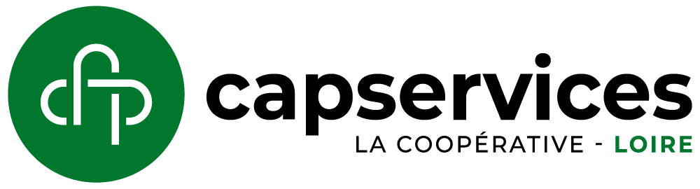 CAP Services Loire