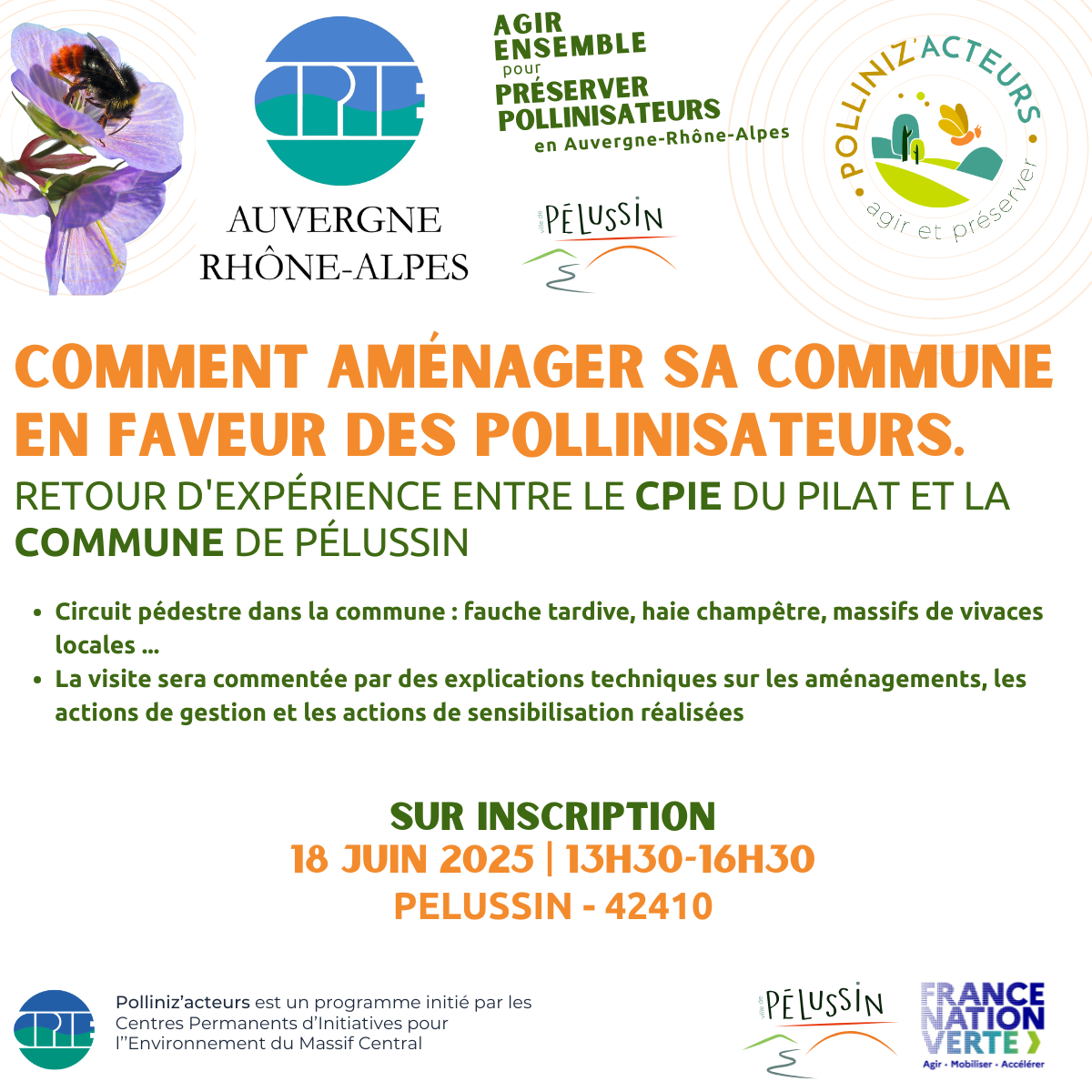 𝗖𝗼𝗺𝗺𝗲𝗻𝘁 𝗮𝗺𝗲́𝗻𝗮𝗴𝗲𝗿 𝘀𝗮 𝗰𝗼𝗺𝗺𝘂𝗻𝗲 𝗲𝗻 𝗳𝗮𝘃𝗲𝘂𝗿 𝗱𝗲𝘀 𝗽𝗼𝗹𝗹𝗶𝗻𝗶𝘀𝗮𝘁𝗲𝘂𝗿𝘀 𝘀𝗮𝘂𝘃𝗮𝗴𝗲𝘀 ?