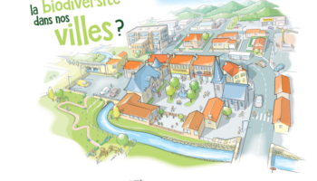 Animer autour de la biodiversité. Avec l’outil «Accueillir la biodiversité dans nos villes et jardins»